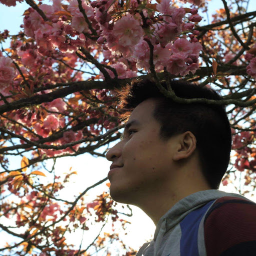 Hieu Le Photo 11