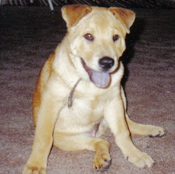 Douglas Ott Photo 12