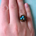 Robin Ring Photo 25