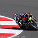Bradley Hertz Photo 34