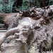 Kent Woods Photo 36