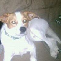 Jack Easley Photo 1