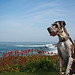 Dane Murphy Photo 31