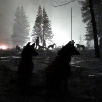 Heidi Sutter Photo 9