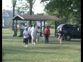 Joyce Drayton Photo 8