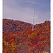 Kelly Bagwell Photo 34