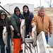 Gary Bank Photo 22