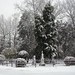 David Grounds Photo 32