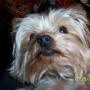 Peggy Blevins Photo 22