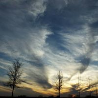 Susan Hupp Photo 3