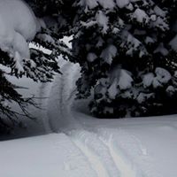 Andrew Caffrey Photo 3