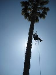 Chris Wininger Photo 5