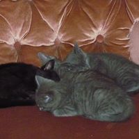Hillary Davidson Photo 2