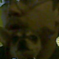 Ryan Elwell Photo 1