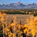 Jeff Linger Photo 15