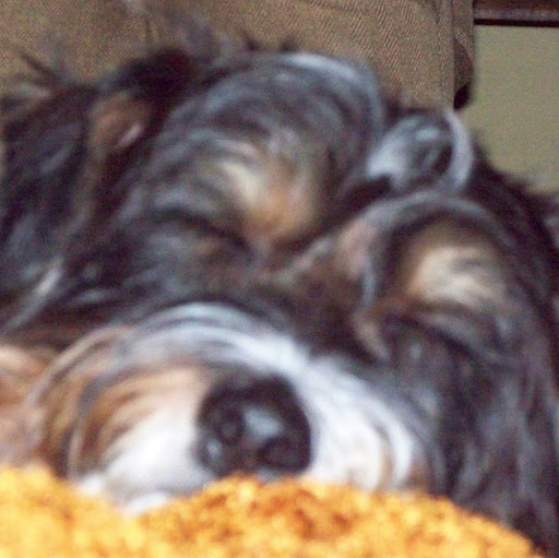 Susan Darrow Photo 9