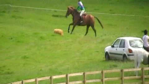 Molly Burrows Photo 20