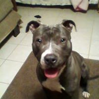 Debra Meeks Photo 8
