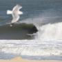 Clifton Rogers Photo 25