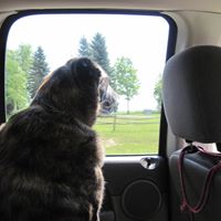 Buster Brown Photo 5