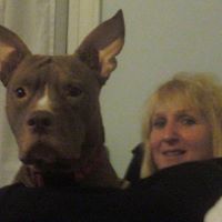 Cheryl Parmelee Photo 3