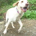 Nellie Hill Photo 35
