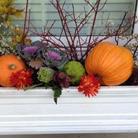 Tammy Kesler Photo 3
