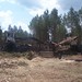 Jesse Peterson Photo 40