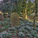 Peter Stanton Photo 41