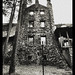 Fred Purpura Photo 8