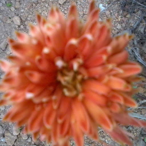 Barbara Barclay Photo 11