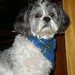 Eileen Shih Photo 18