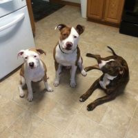 Teresa Beebe Photo 4