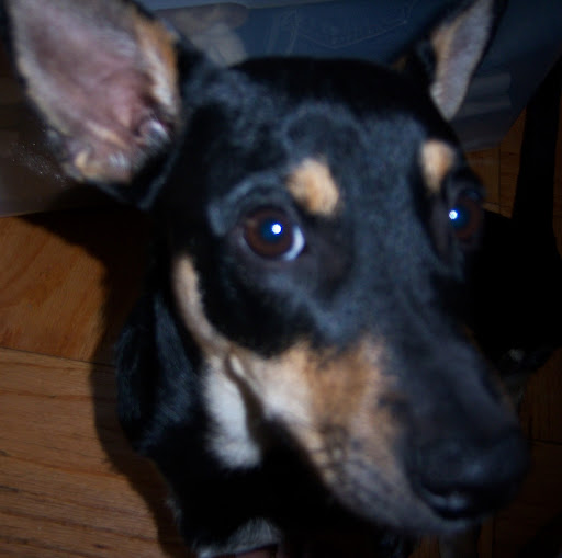 Heather Chaffin Photo 10