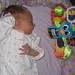 Susan Toy Photo 23