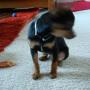 Jennie Hope Photo 18