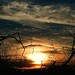 Craig Hayward Photo 29