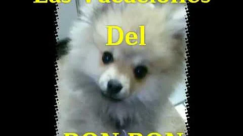 Aurora Badillo Photo 17