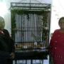 Kimberly Applewhite Photo 12
