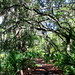 Peggy Park Photo 25