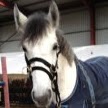 Eileen Oneill Photo 9