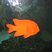 Thomas Shedd Photo 26
