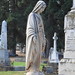 Mary Whitehill Photo 19