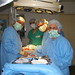 Virgilio Ocampo Photo 22
