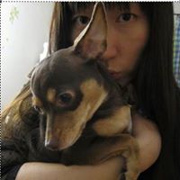 Chan Zheng Photo 7