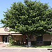 David Culberson Photo 16
