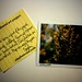 Stephen Voss Photo 35