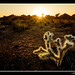 Joshua Neeley Photo 38