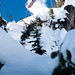 Bryan Fox Photo 44