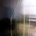 Shawn Dulaney Photo 24